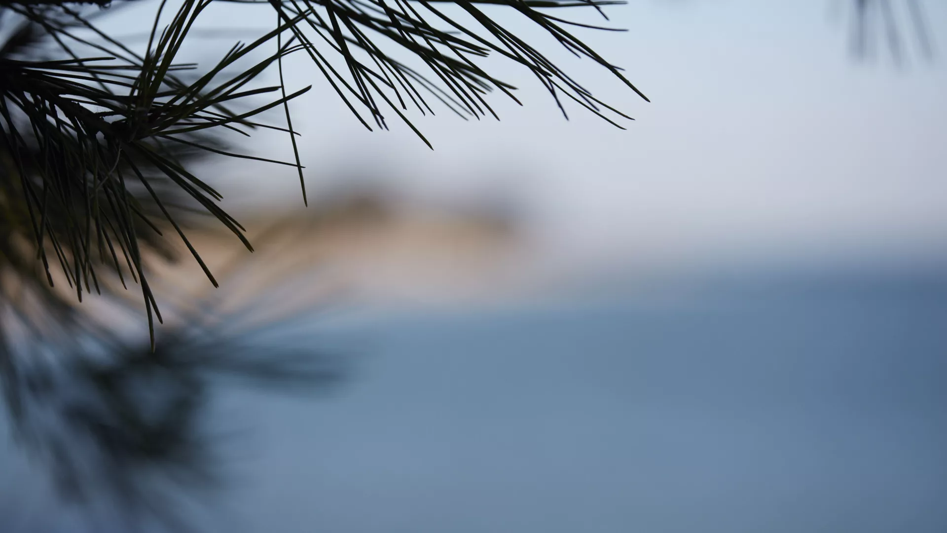 Collection Rivages Carrières